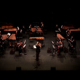 Music_for_Steve_Reich_4_.JPG