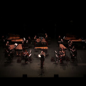 Music_for_Steve_Reich_3_.JPG
