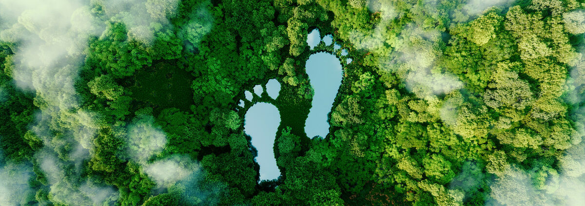 A lake in the shape of human footprints in the middle of a lush forest as a metaphor for the impact of human activity on the landscape and nature in general. 3d rendering.