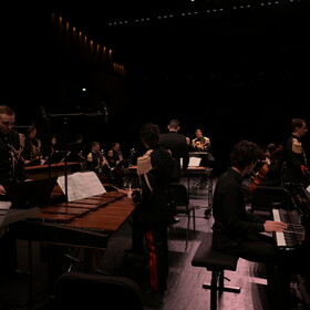 Music_for_Steve_Reich_20_.JPG