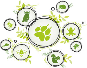 Biodiversité et nature en ville La Biodiversité à Versailles Grand Parc