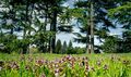 Illustration de ARBORETUM DE CHEVRELOUP