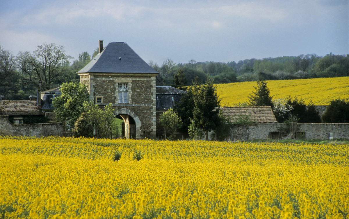 ferme du trou salé toussus le noble