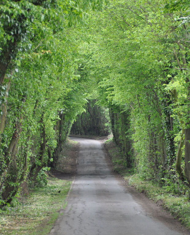 fontenay le fleury