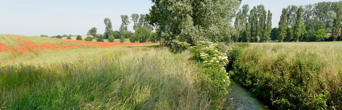 Sur les sentiers de Versailles Grand Parc