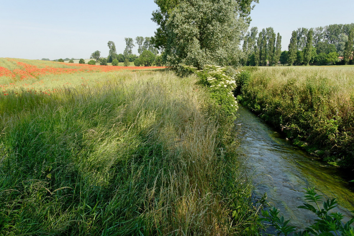 Sur les sentiers de Versailles Grand Parc