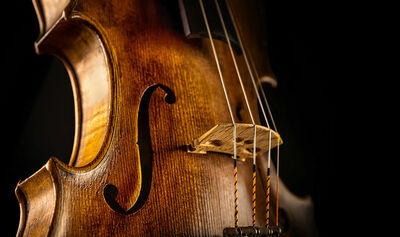 close up of a violin