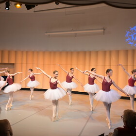 Temps-danse_2025.JPG
